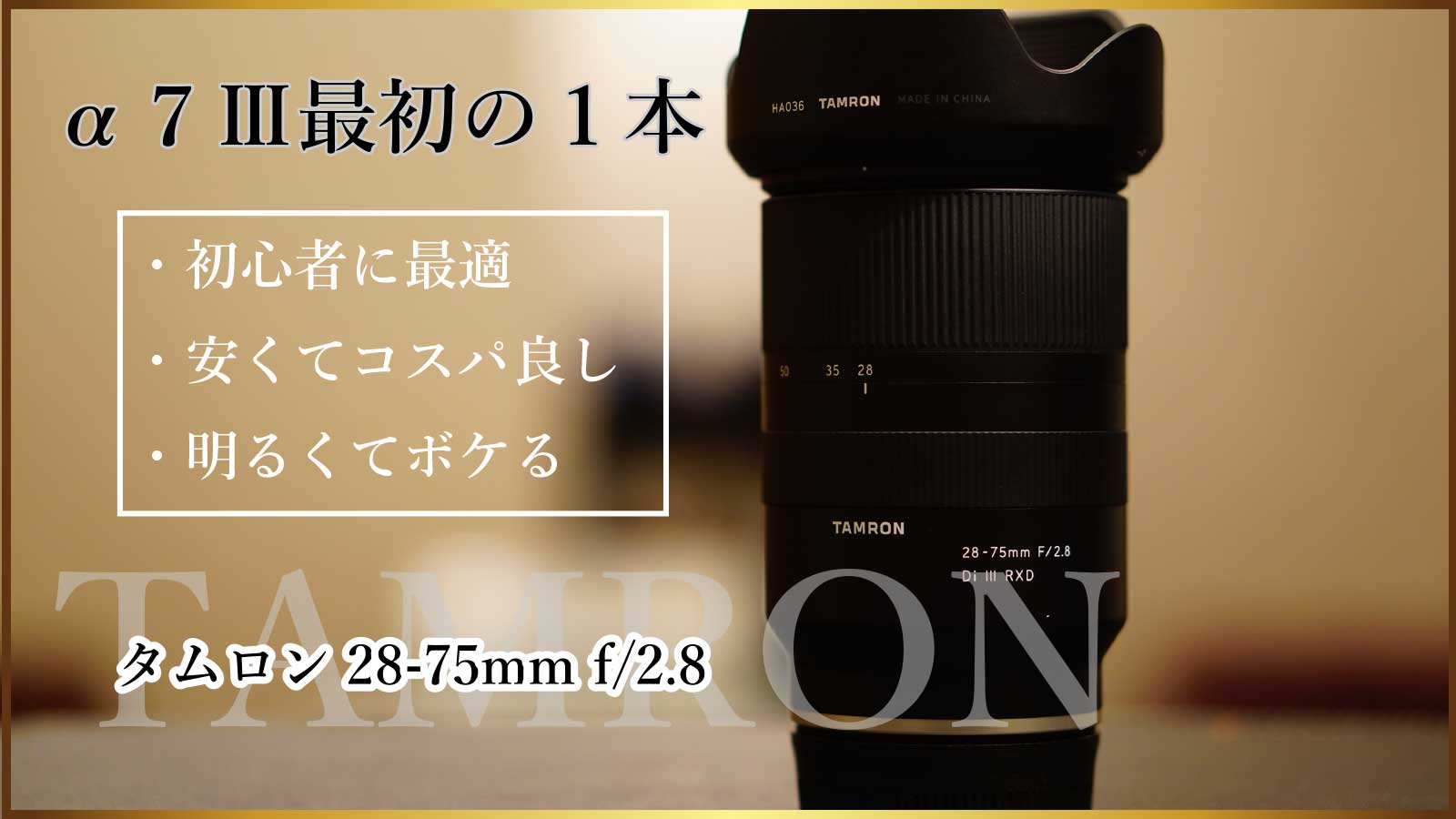 【TAMRON 28-75mm F/2.8 Di III RXD】カメラ初心者がSONY α7IIIの初めの1本に選んだレンズはこれ